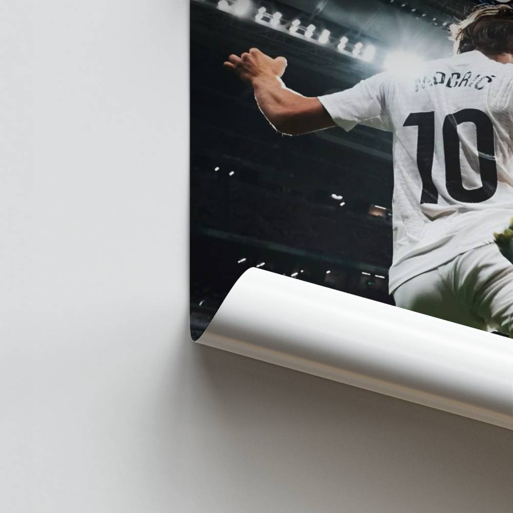 Poster Maître du Terrain