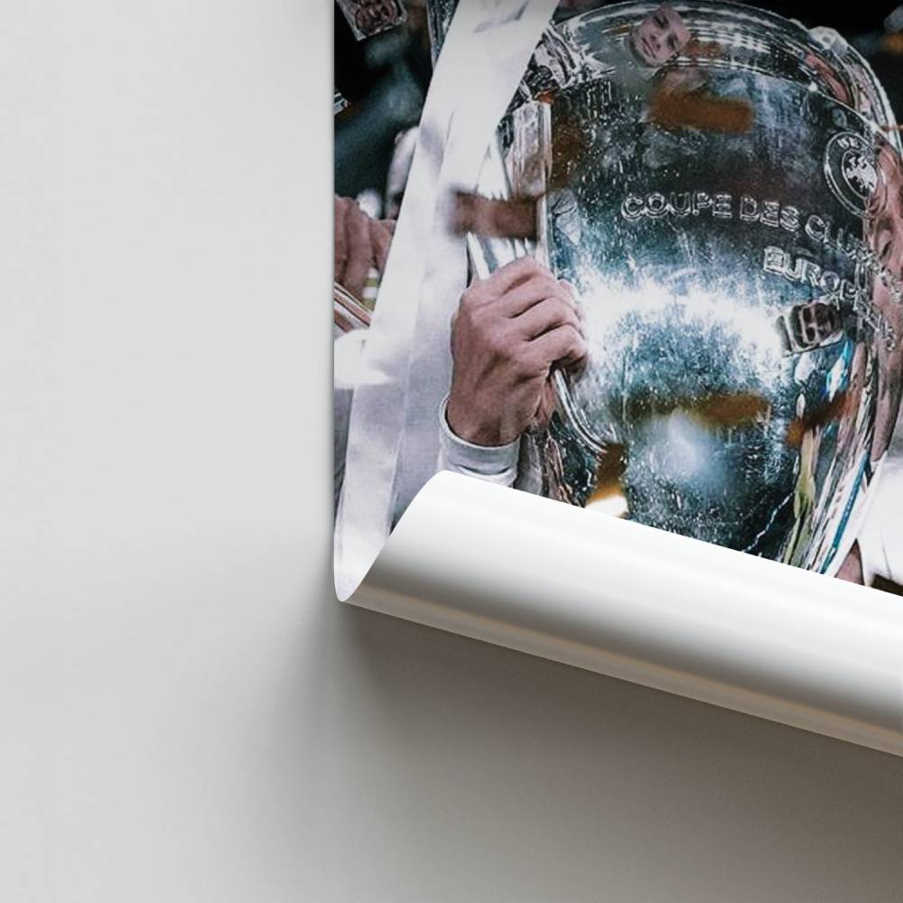 Poster Gloire au Champion