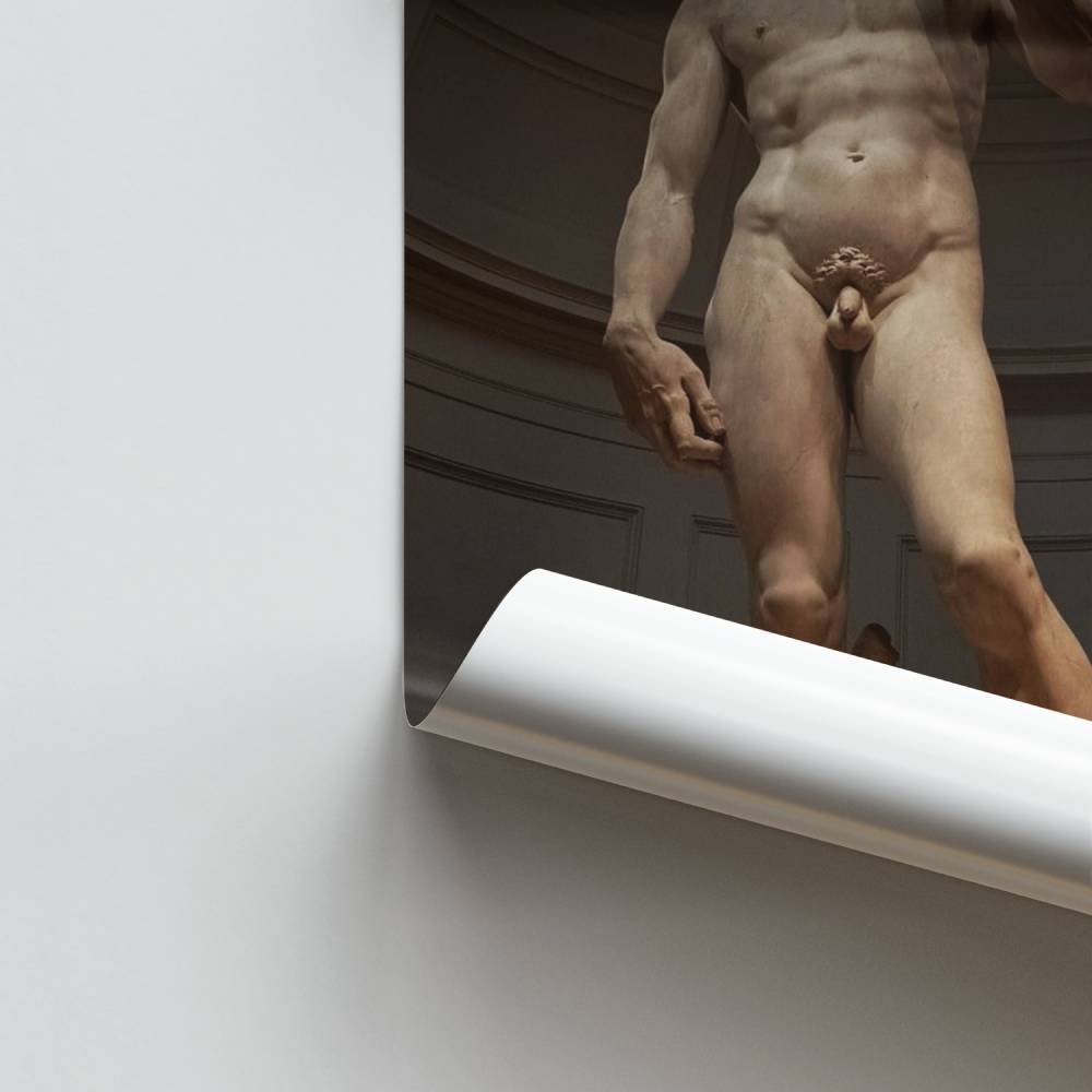 Poster David Classique