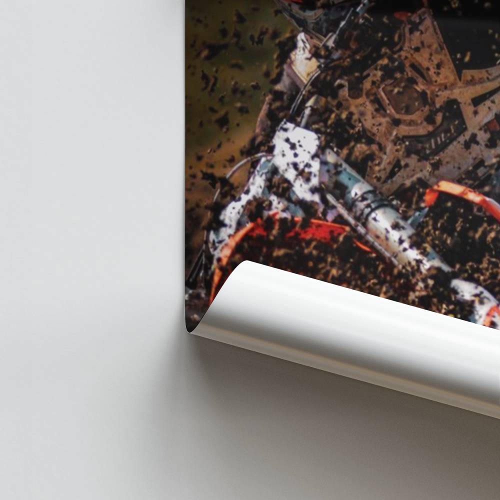 Poster Frénésie de Terre