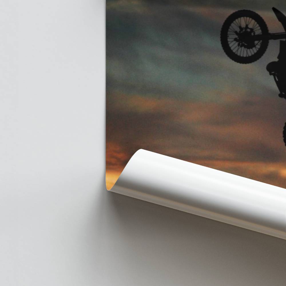 Poster Acrobatie Céleste