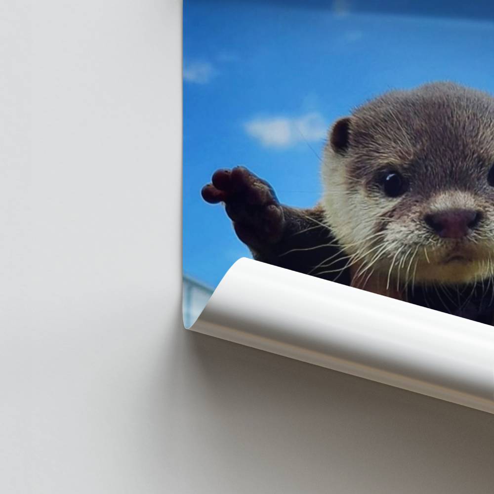 Poster Loutre Joyeuse