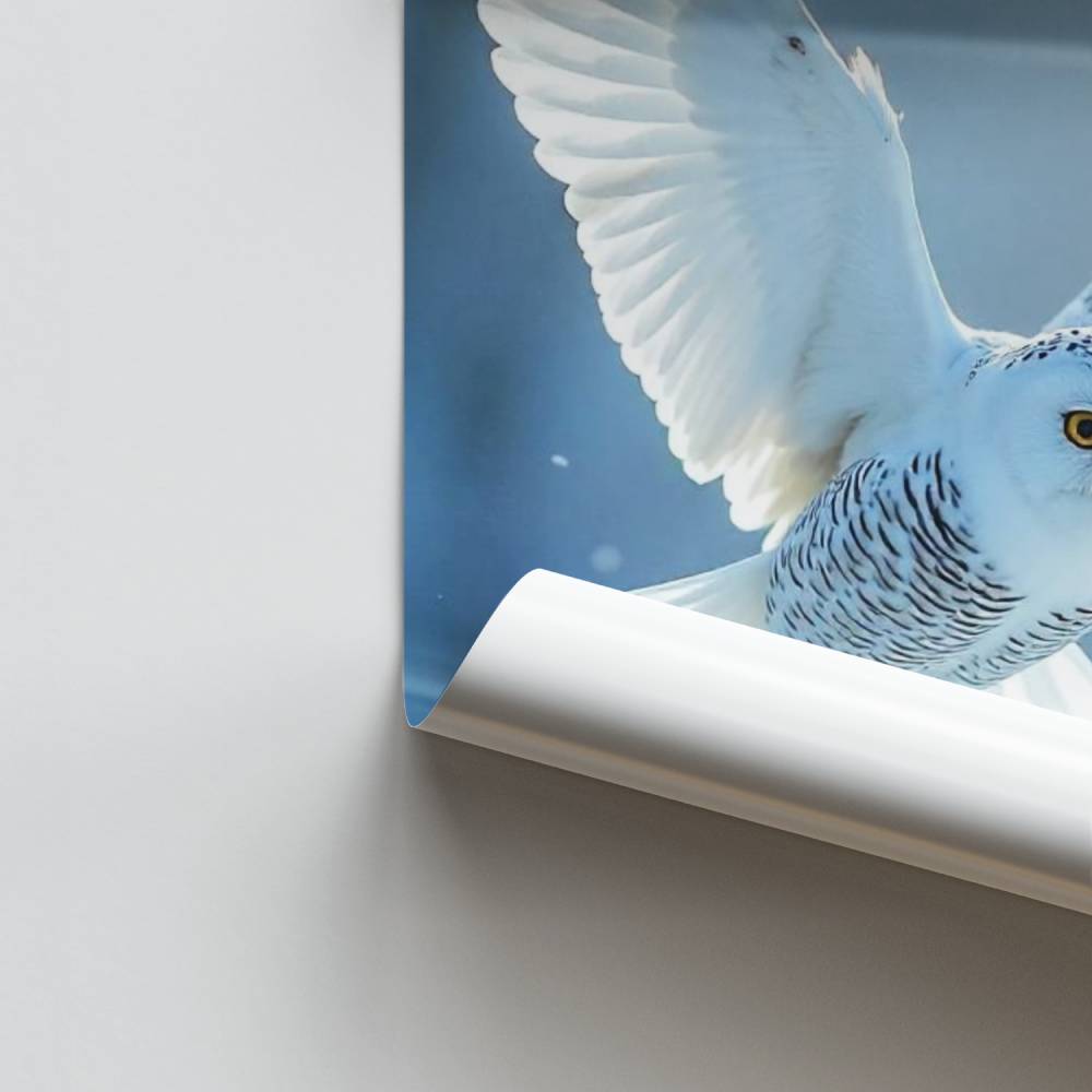 Poster Vol de Neige
