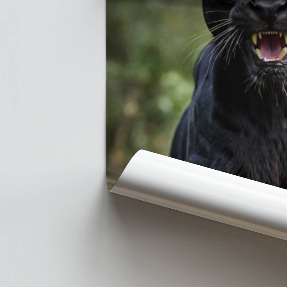 Poster Panthère Majestueuse