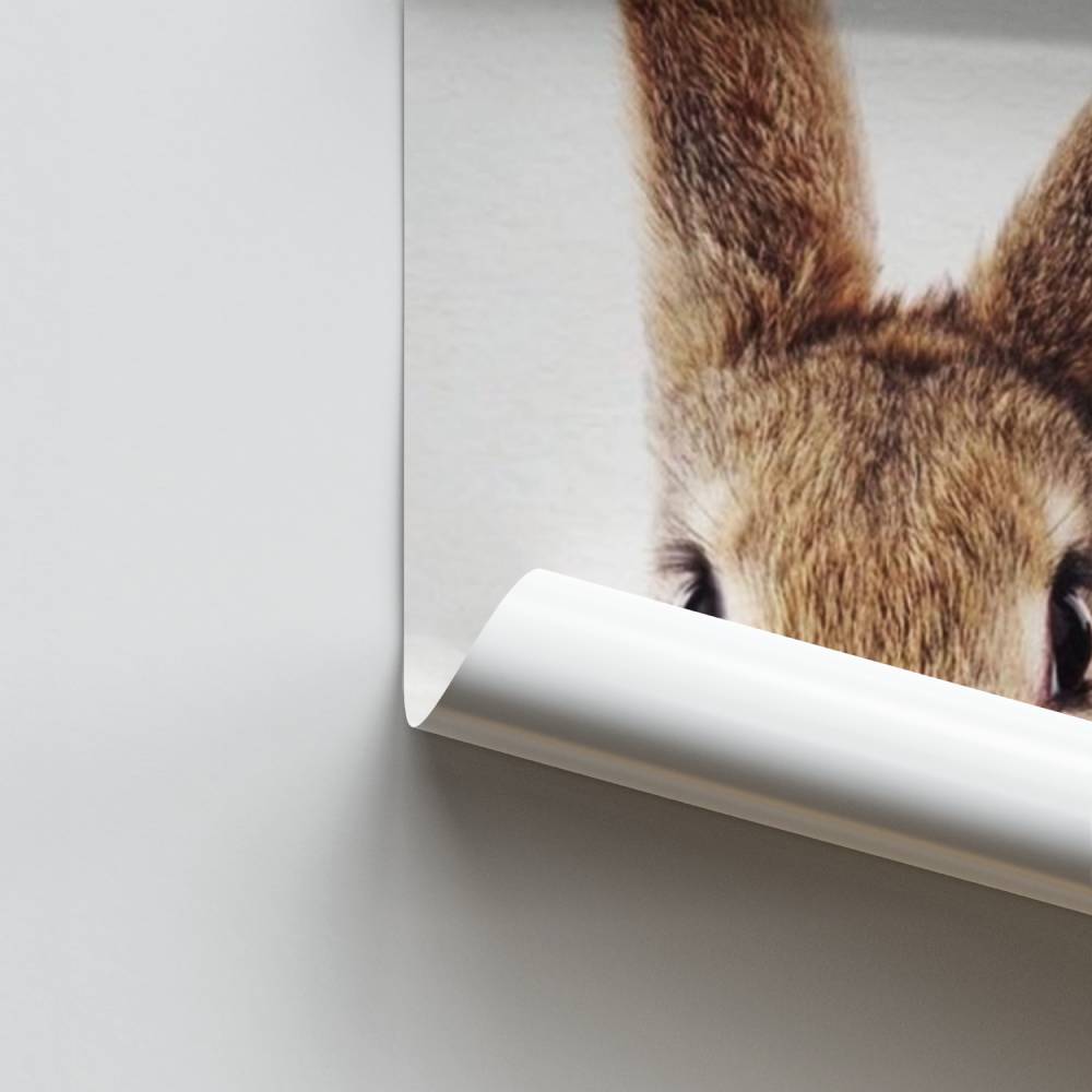 Poster Lapin Doux