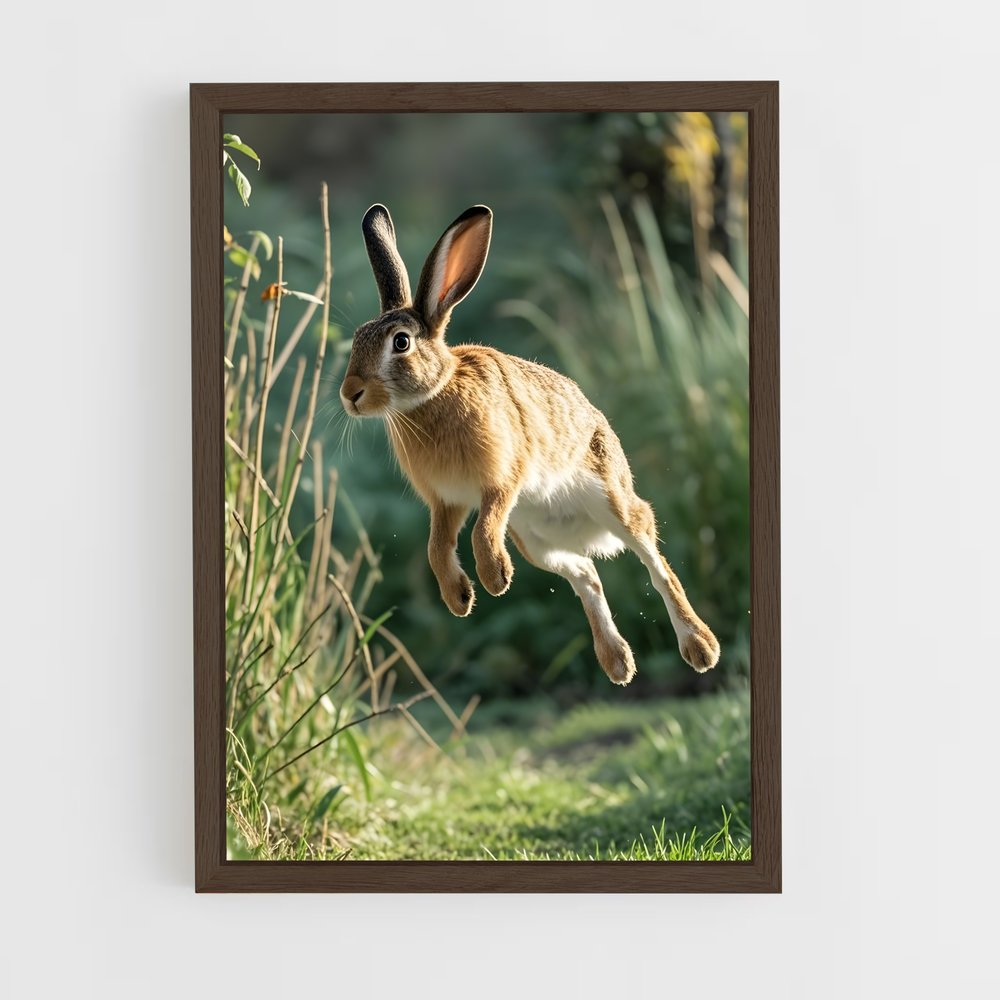 rabbit-12 cadre Bois foncé