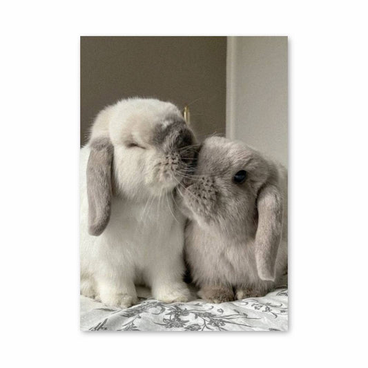 Poster Tendresse Lapin