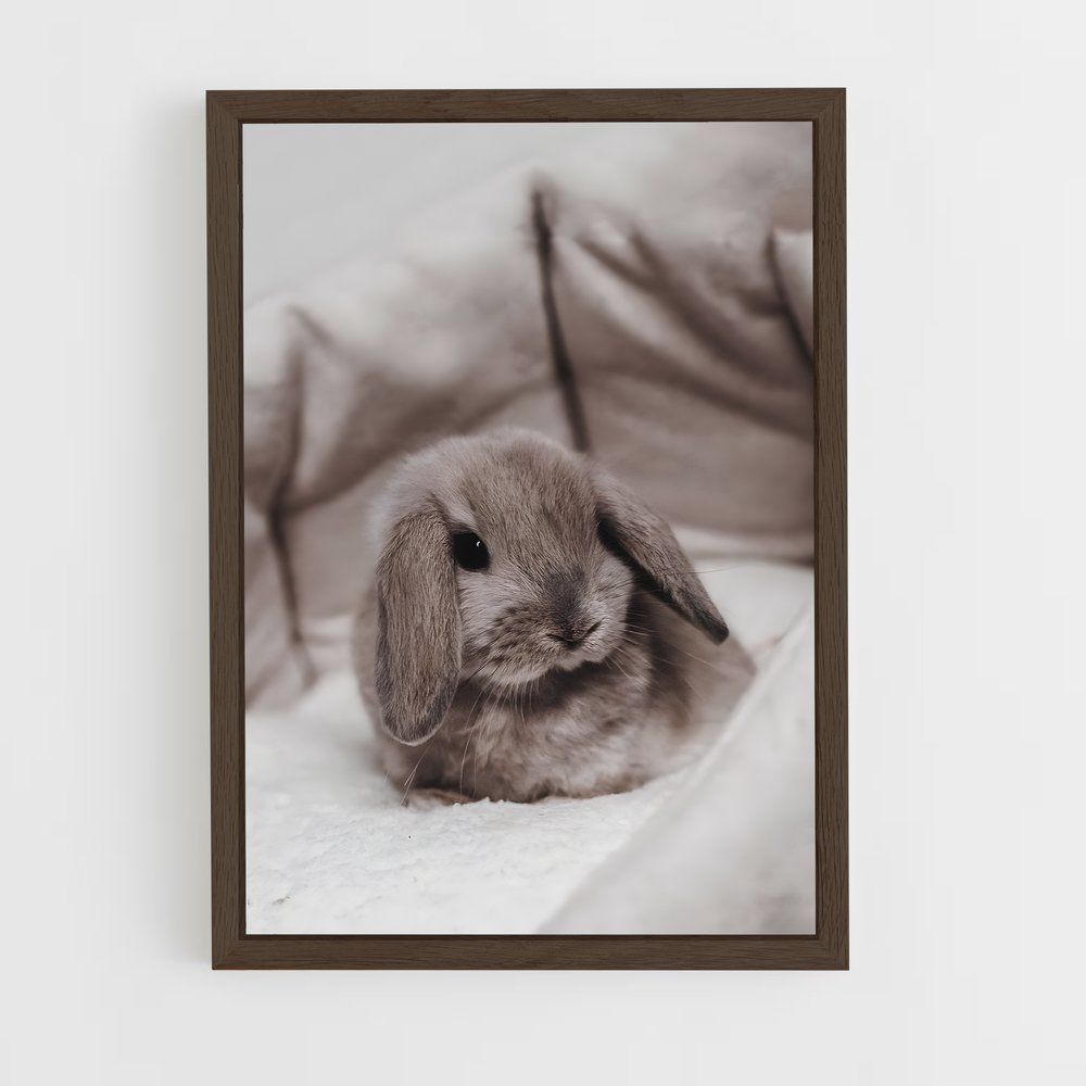 rabbit-8 cadre Bois foncé