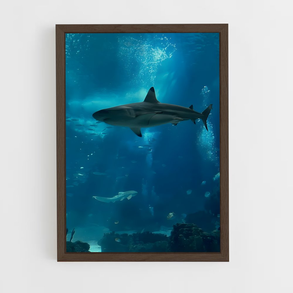 shark-6 cadre Bois foncé