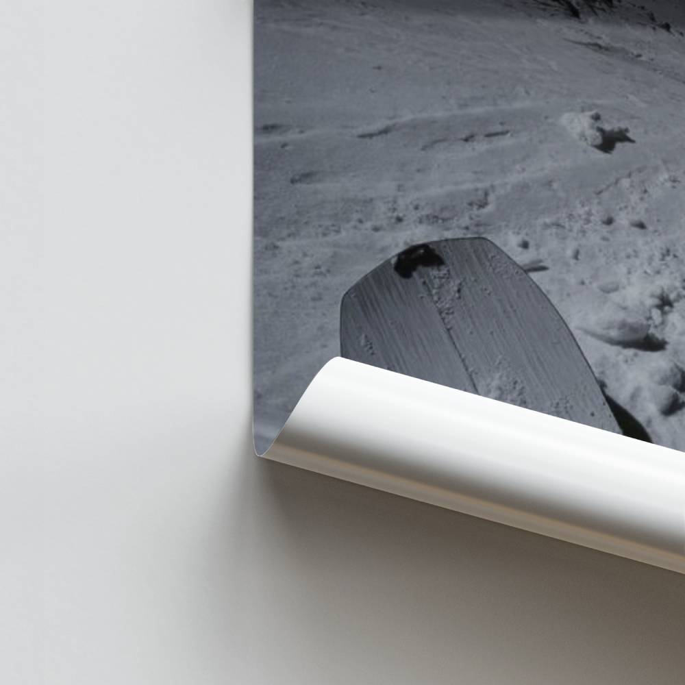 Poster Descente Alpiniste