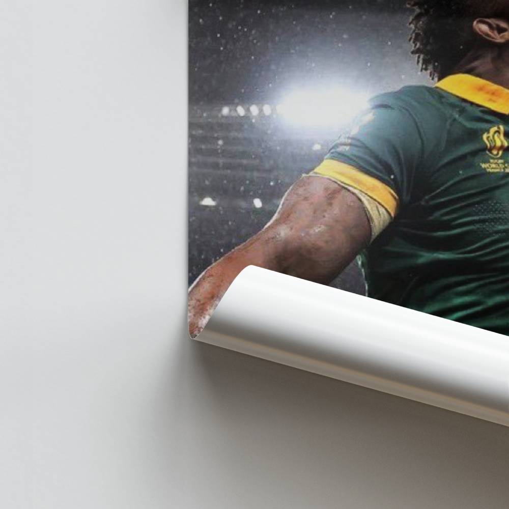 Poster Victoire Springbok