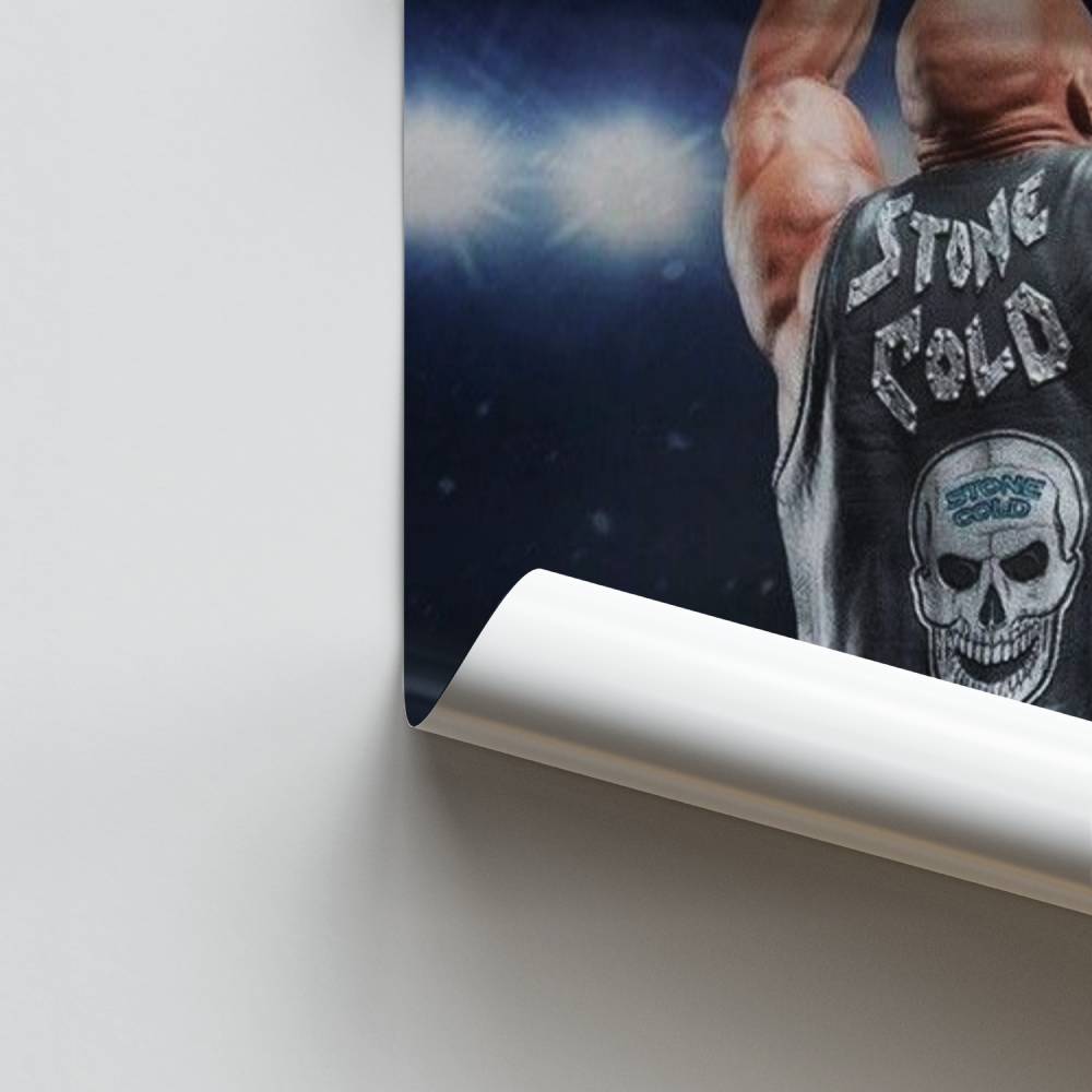 Poster La Fureur de Pierre