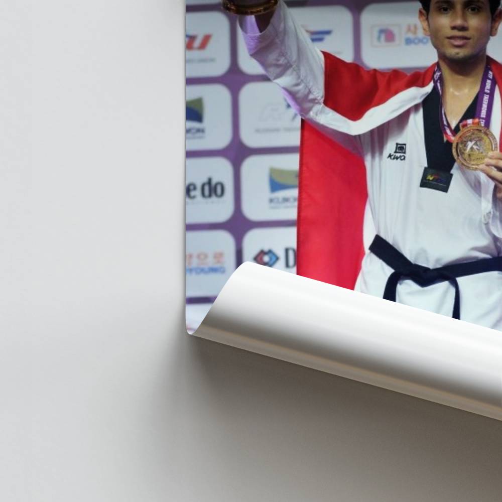 Poster Champion Taekwondo