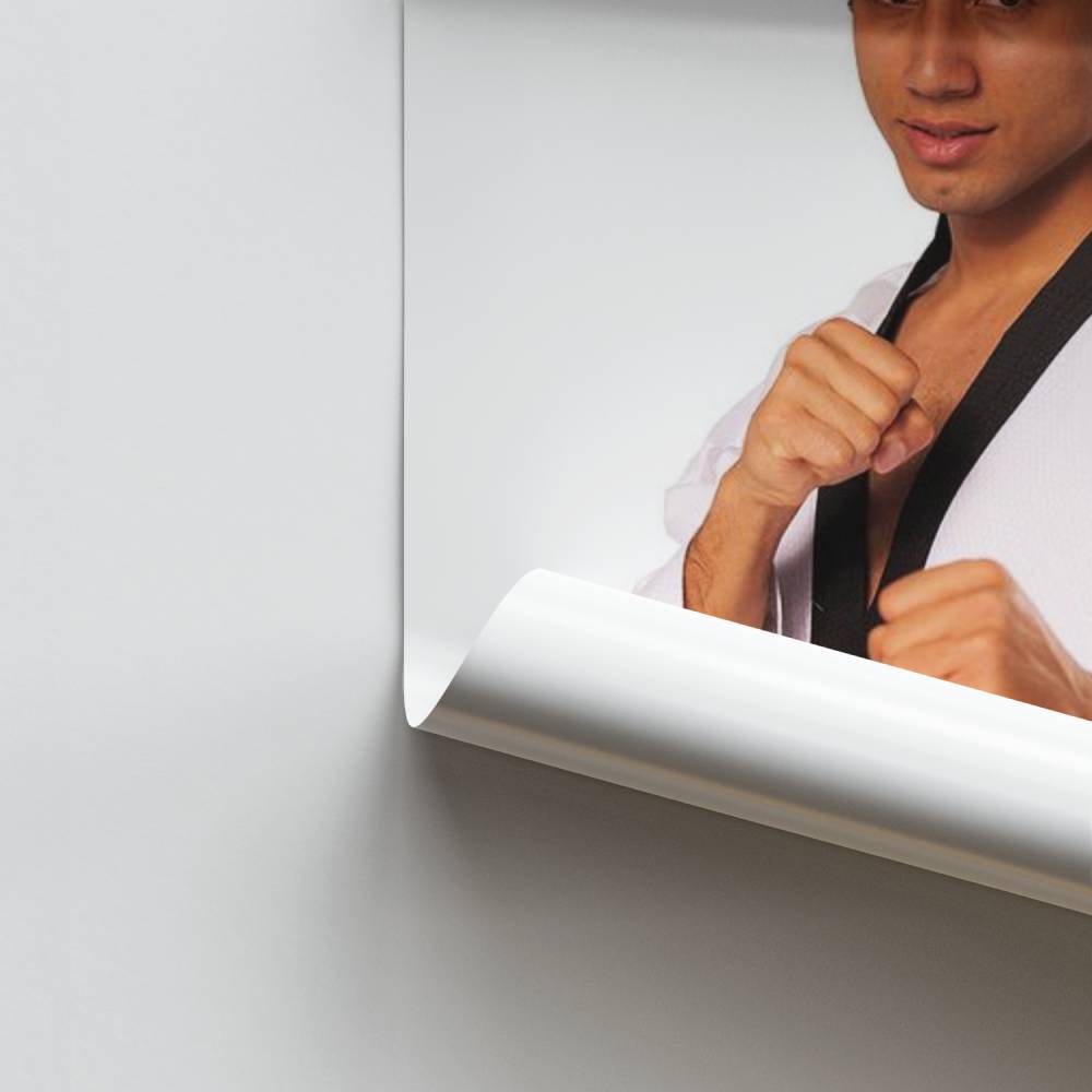 Poster Esprit Taekwondo