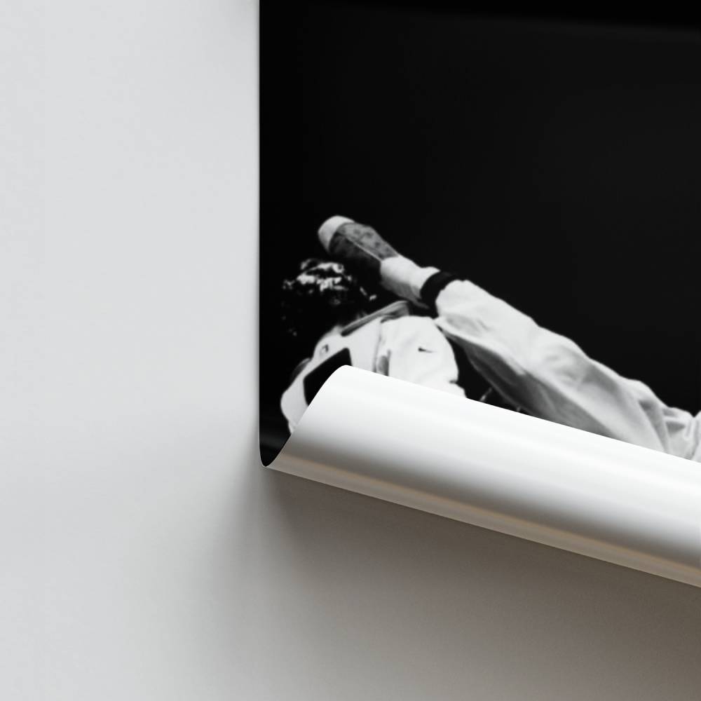 Poster Taekwondo Dynamique