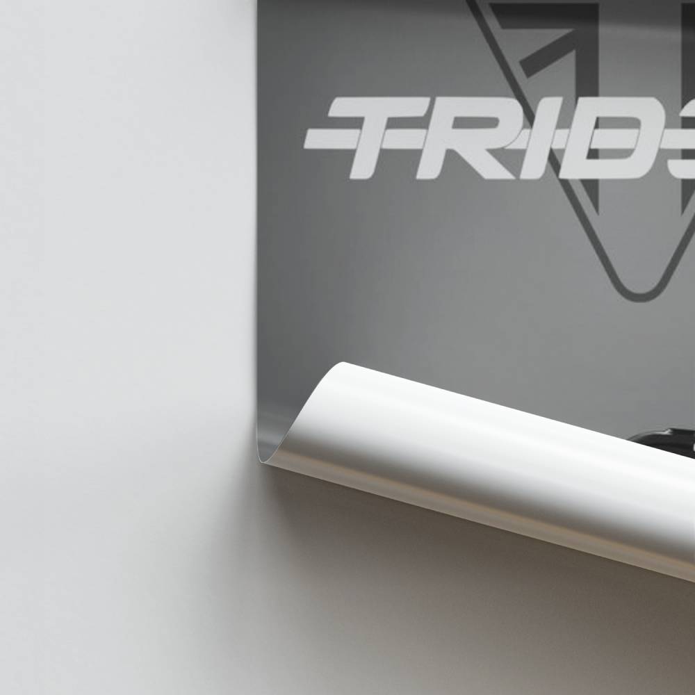 Poster Trident