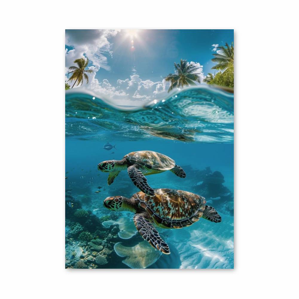 Poster Paradis Aquatique