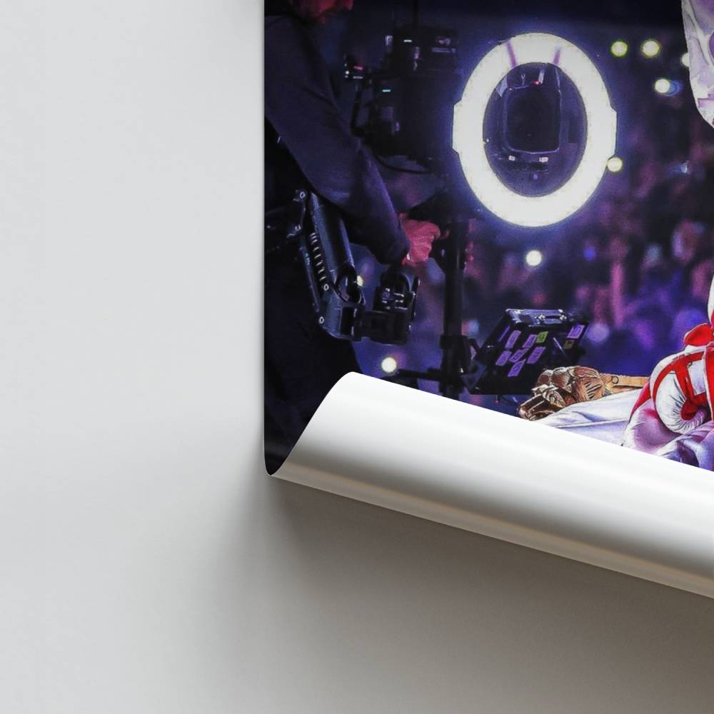 Poster Le Roi du Ring