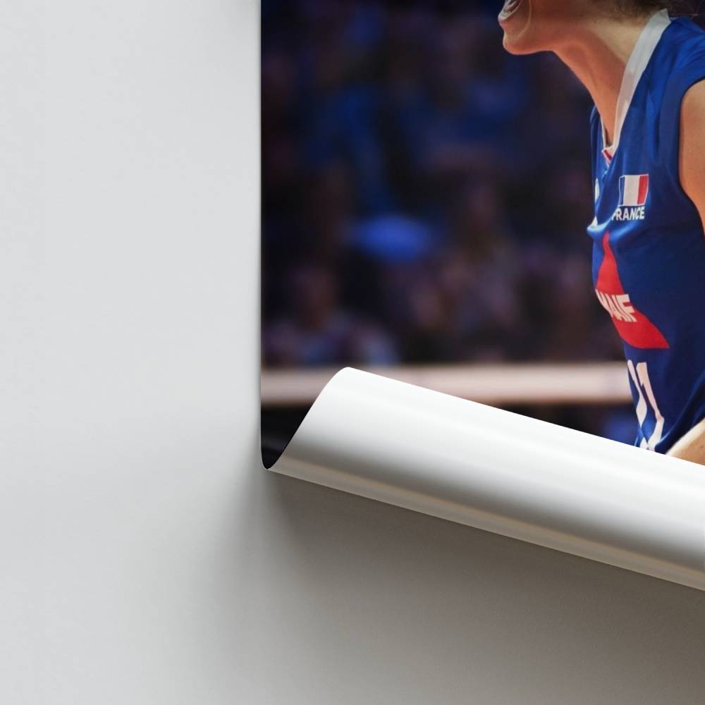 Poster Esprit Volley