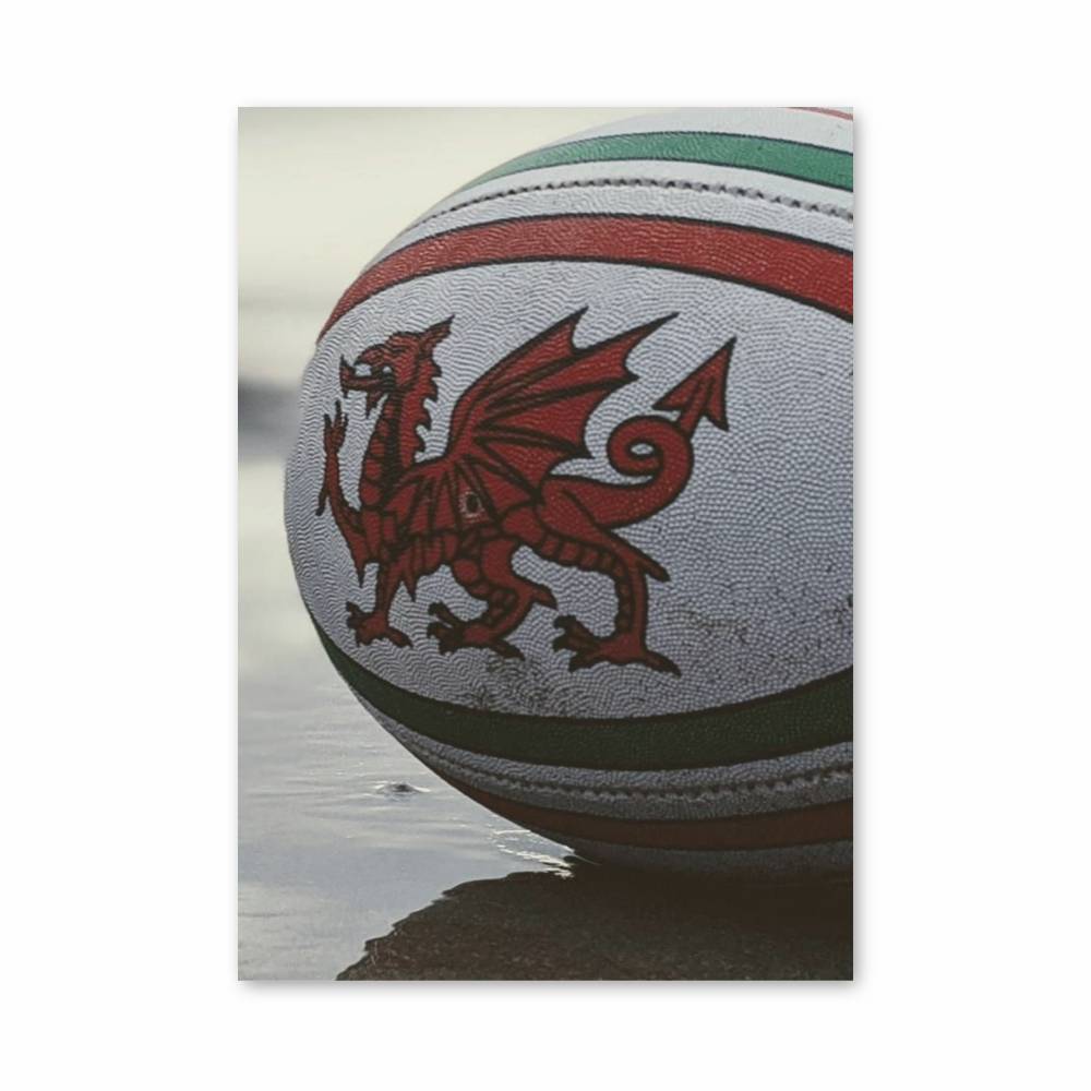 Poster Dragon Rugby