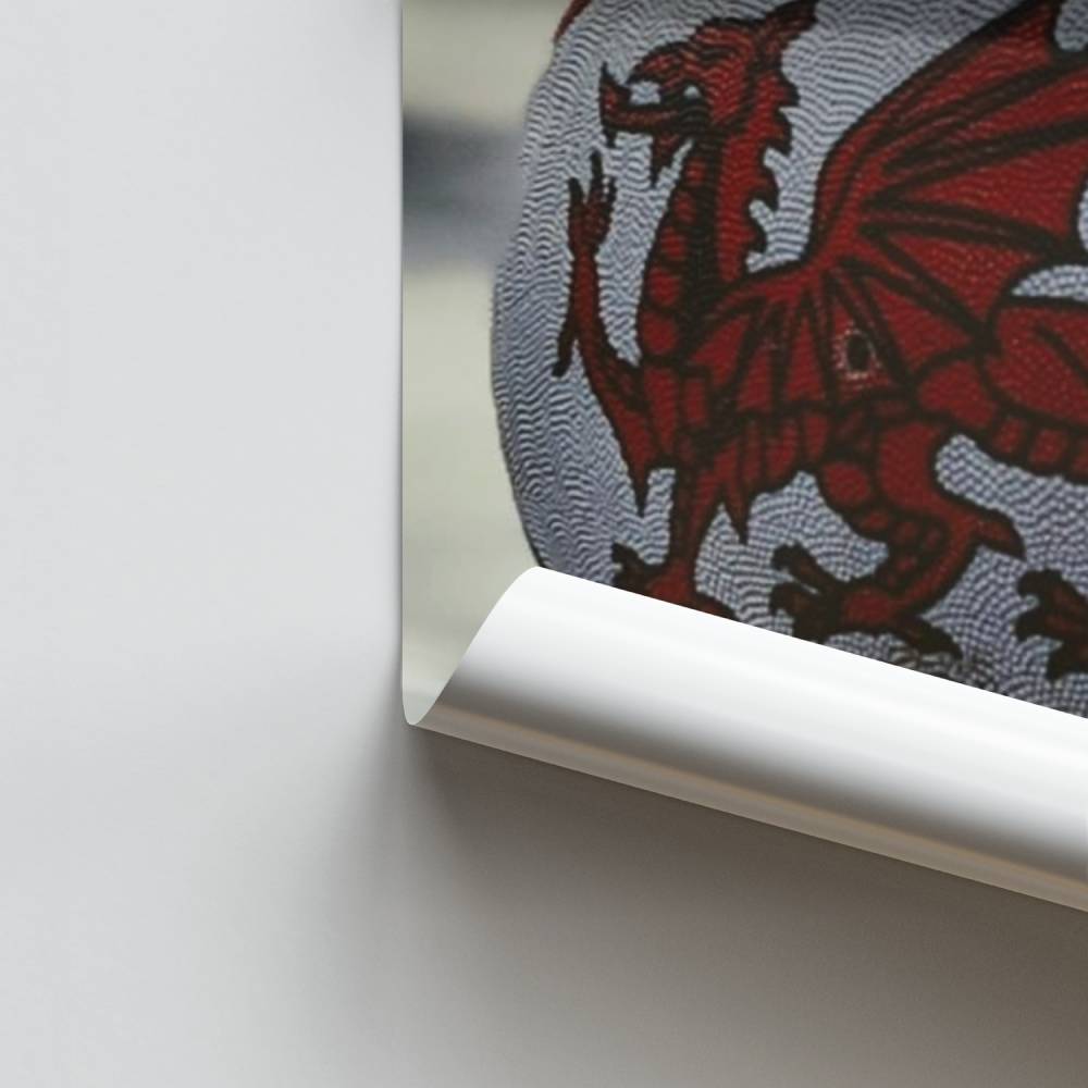 Poster Dragon Rugby