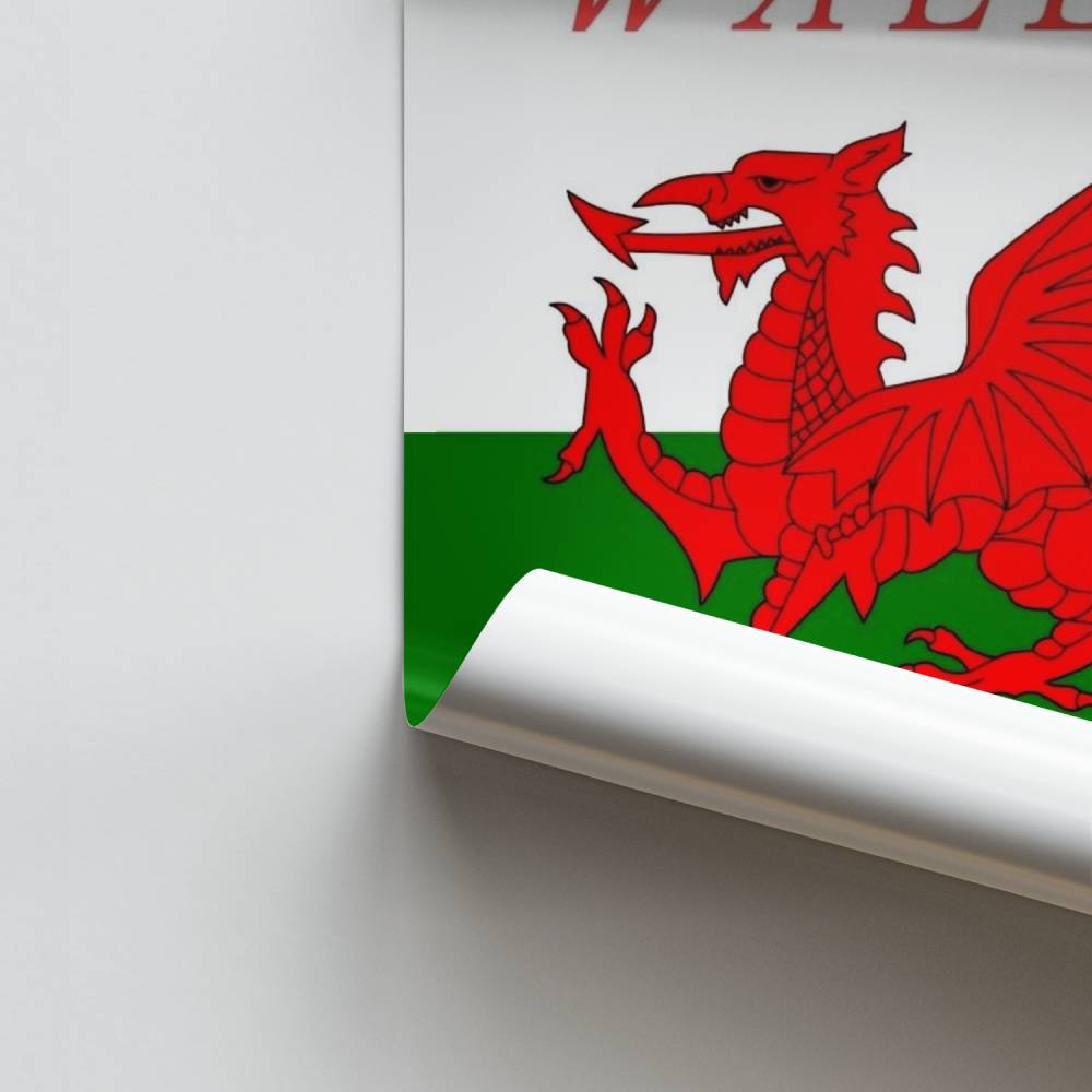 Poster Support Welsh Rugby