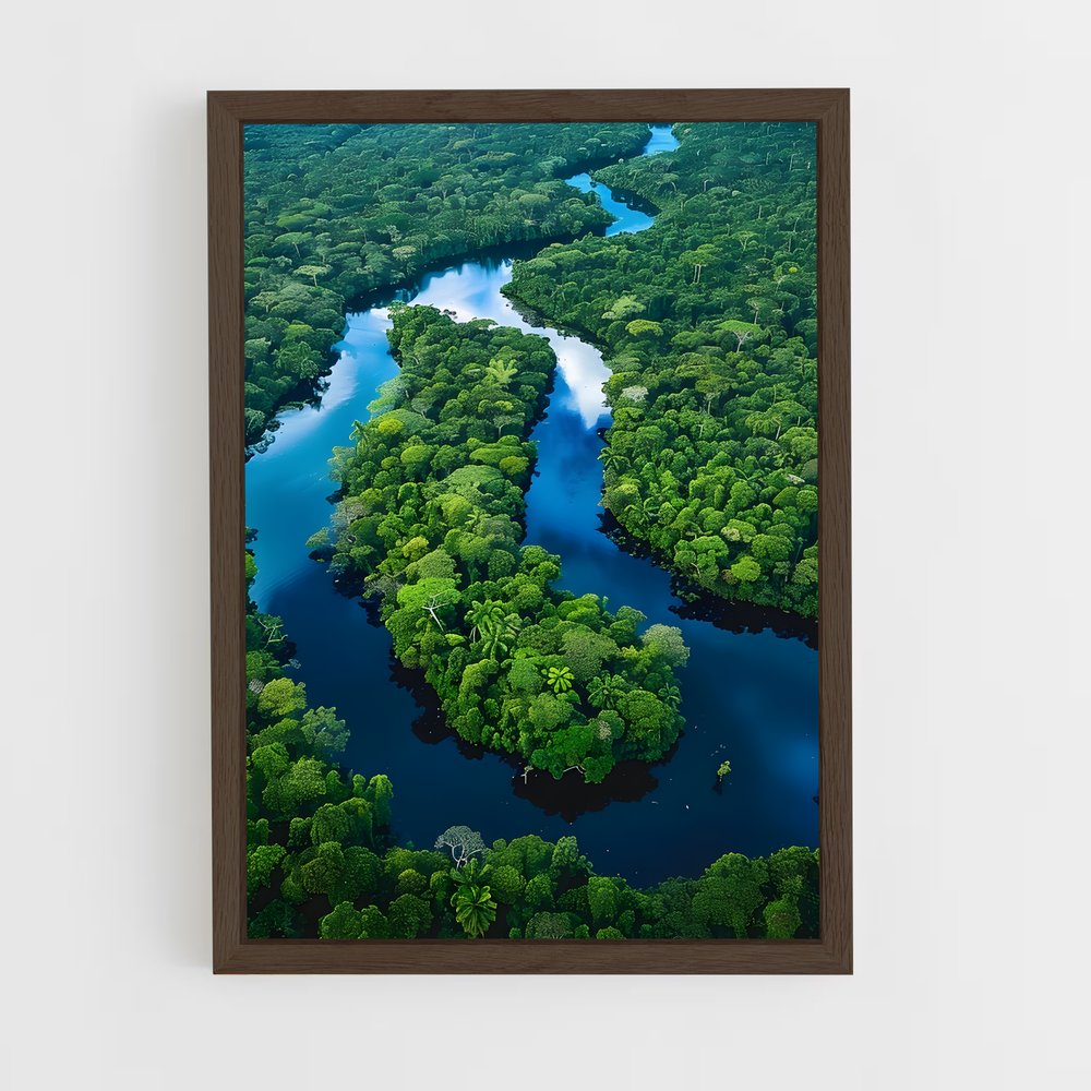 amazonia-2 cadre Bois foncé