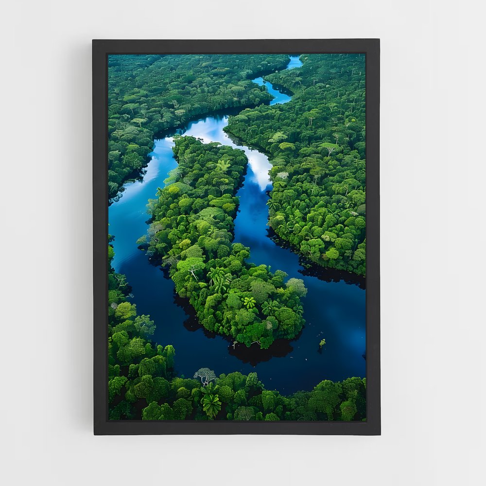 amazonia-2 cadre Noir