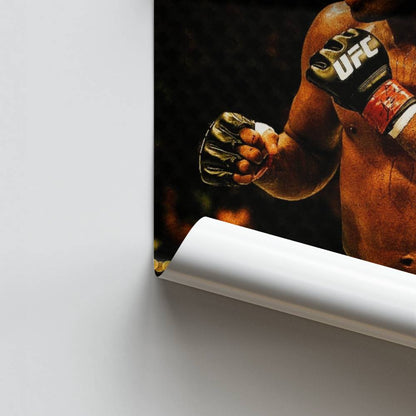 Poster Anderson Silva Combat