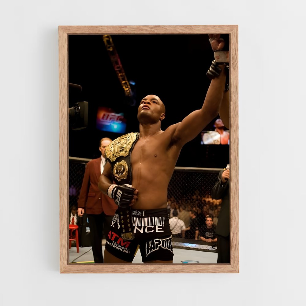 anderson-silva-4 cadre Bois clair