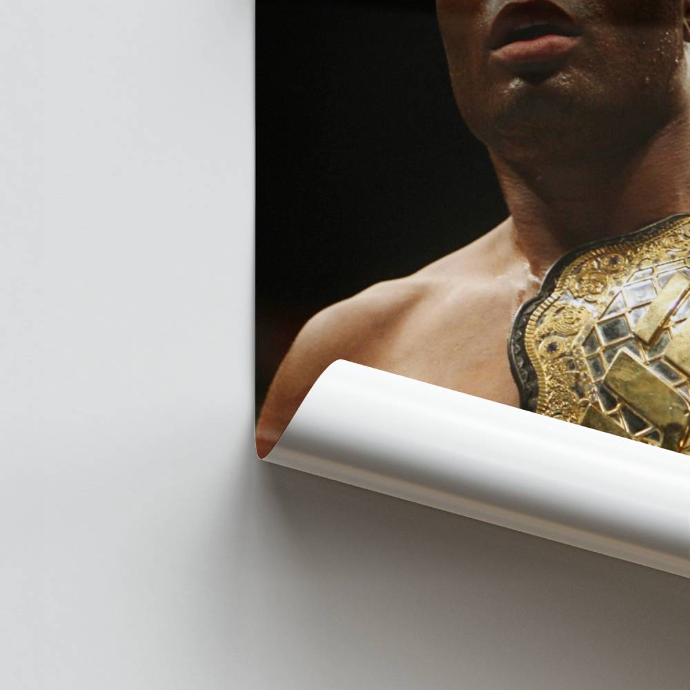 Poster Anderson Silva Ceinture