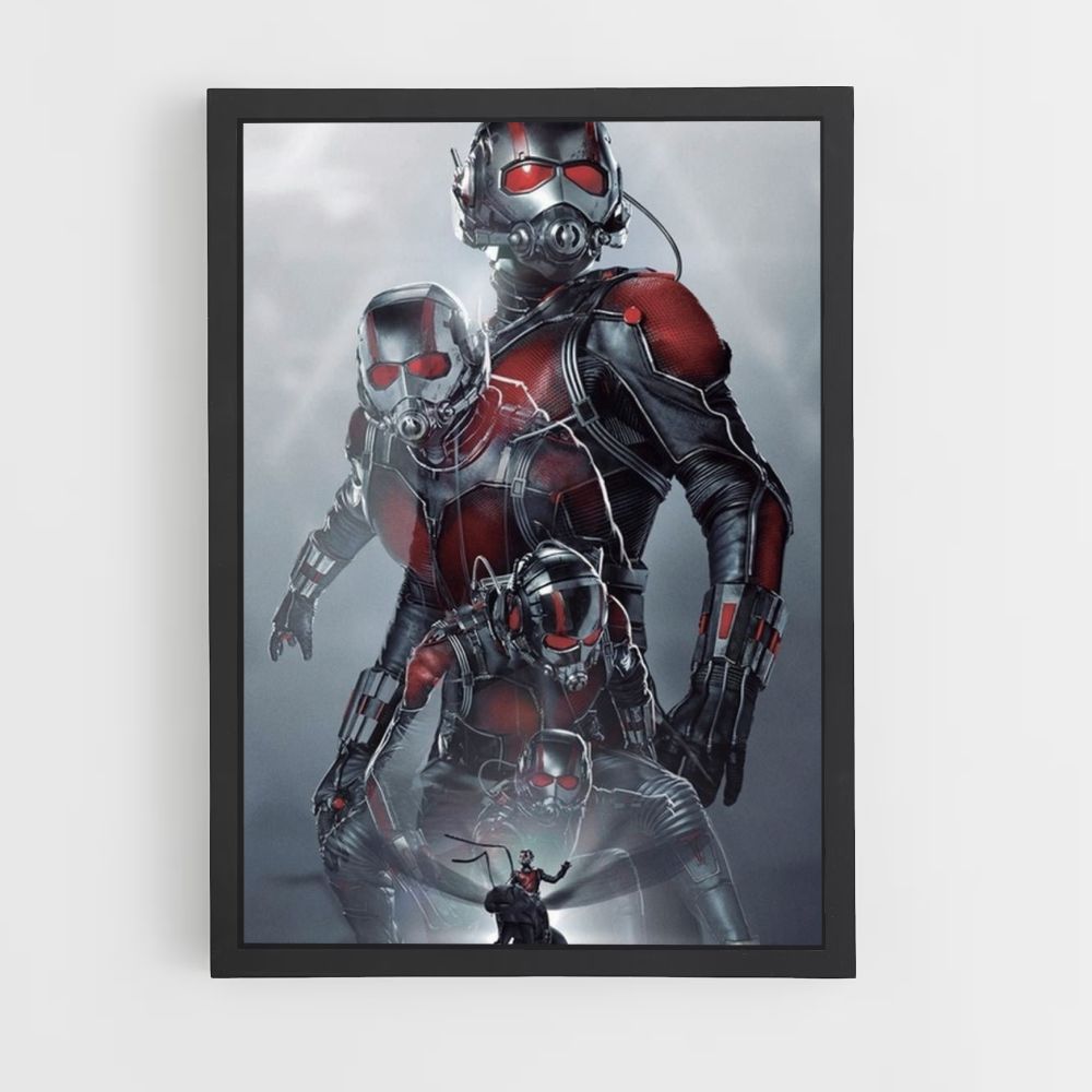 Poster Antman Transformations