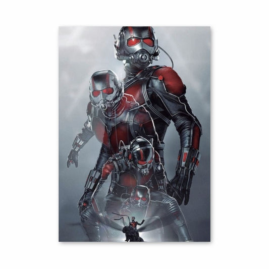 Poster Antman Transformations