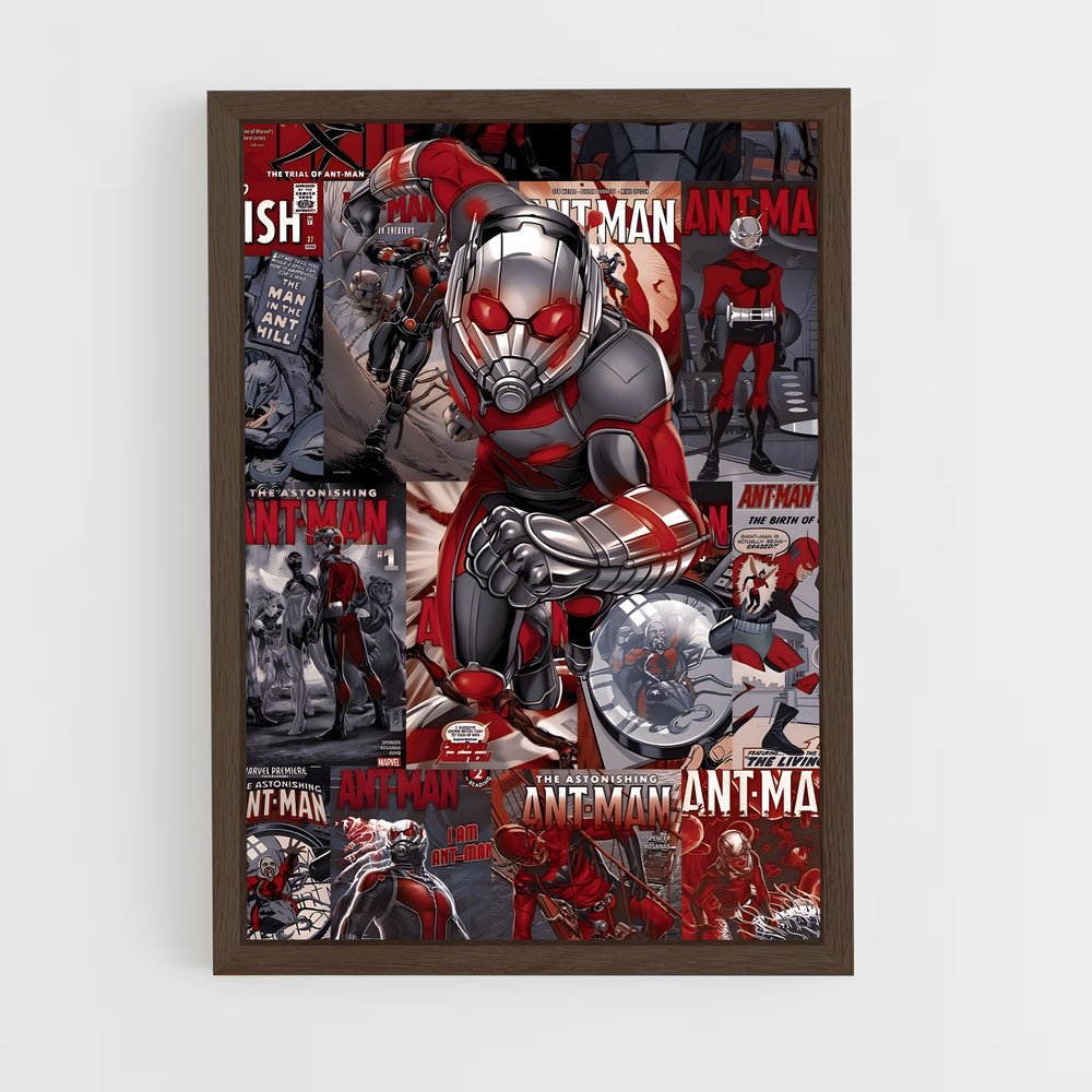 antman-6 cadre Bois foncé