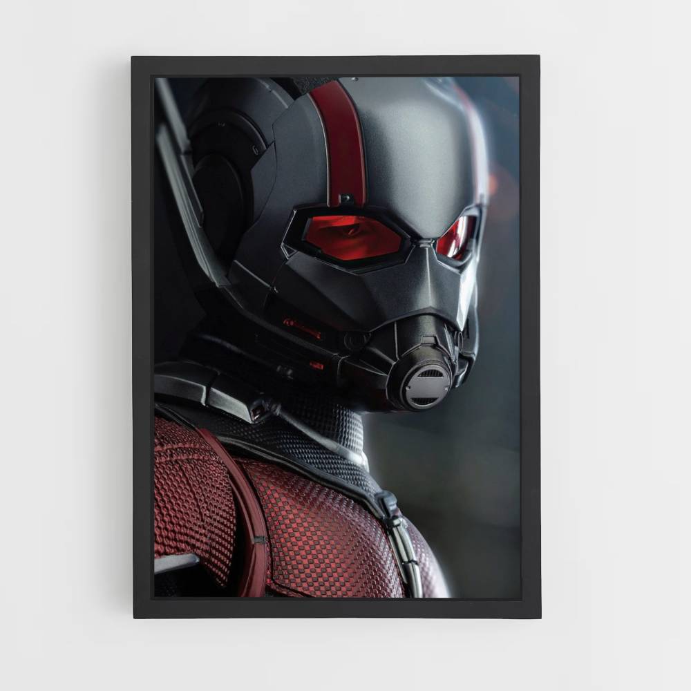 Poster Antman Masque