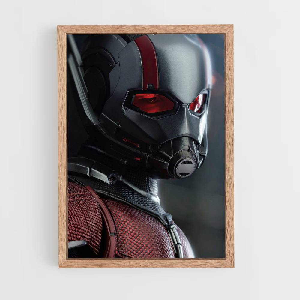 Poster Antman Masque