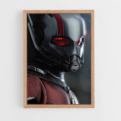 Poster Antman Masque