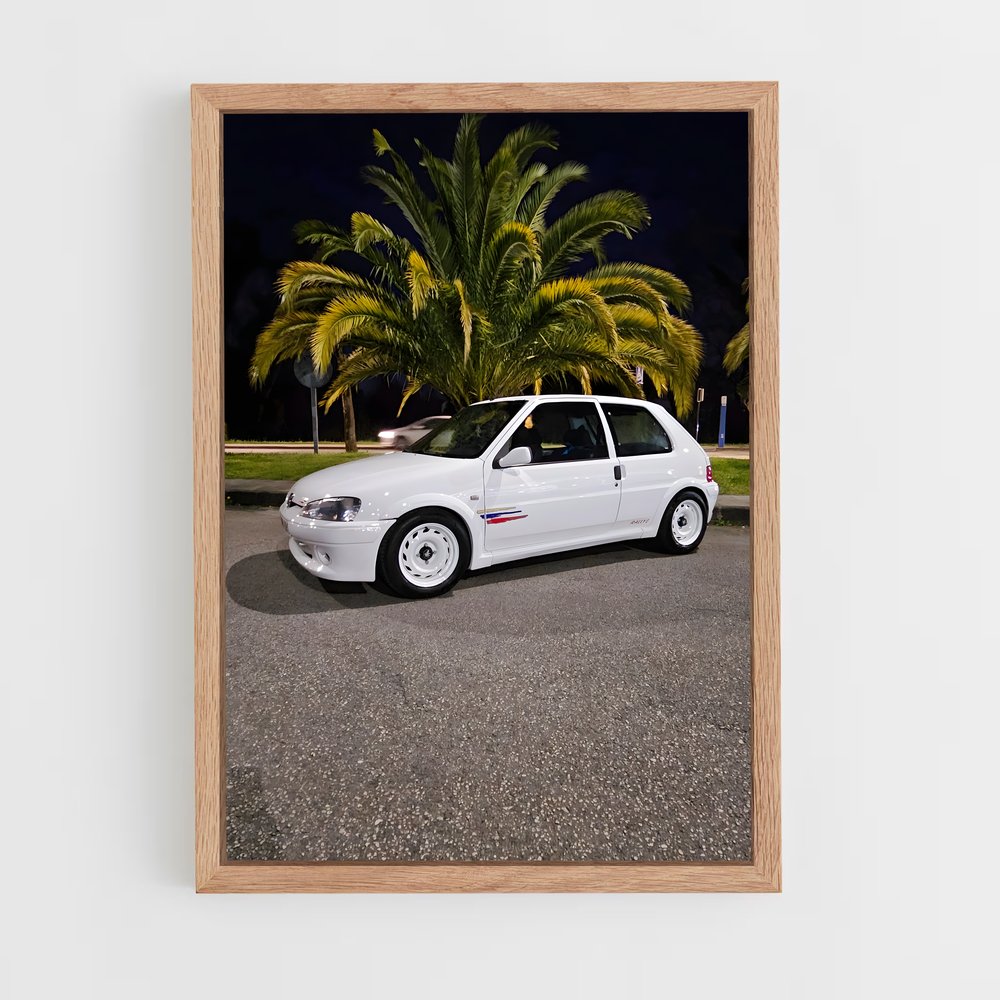 ap-106 rallye-1 cadre Bois clair