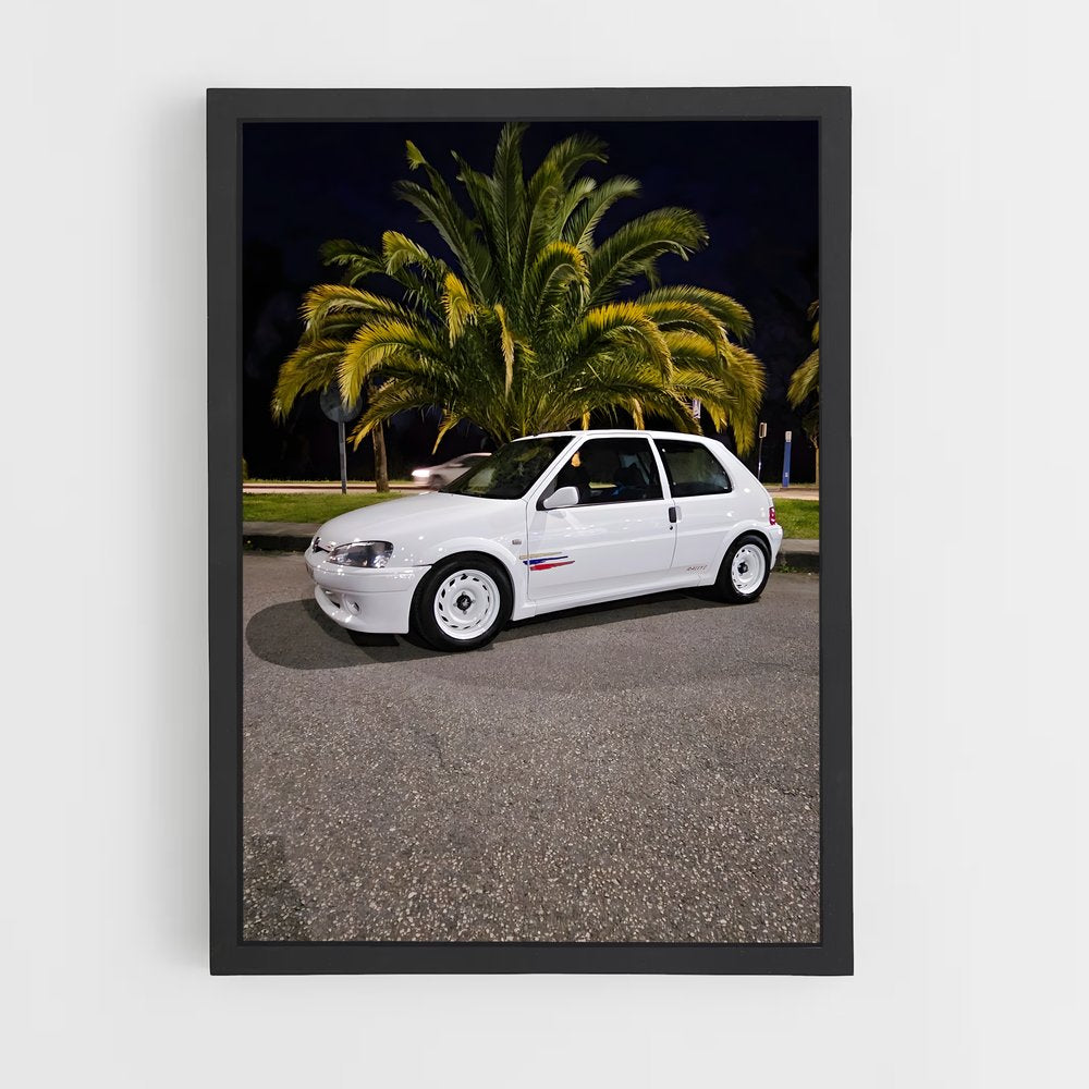 ap-106 rallye-1 cadre Noir