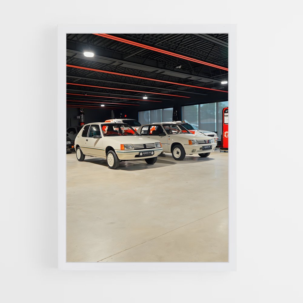 ap-205 rallye-6 cadre Blanc