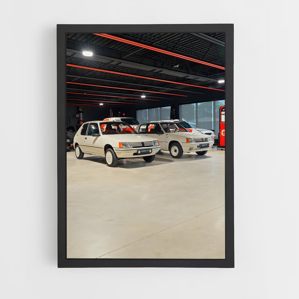 ap-205 rallye-6 cadre Noir