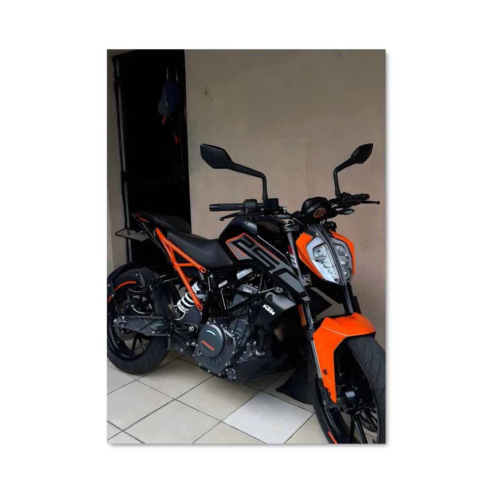 Poster 250 duke 82534