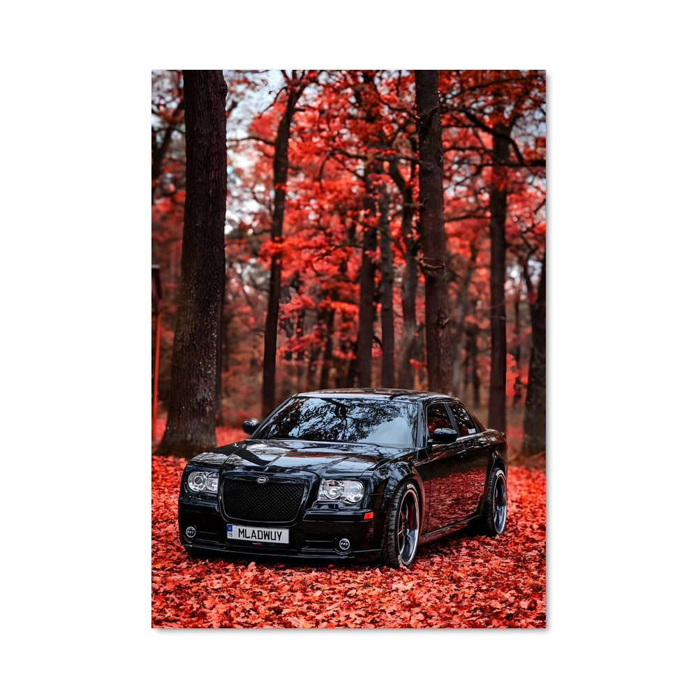 Poster Voiture Noire en Automne