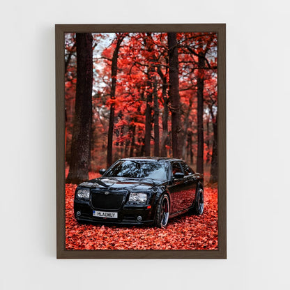 ap-300 srt-1 cadre Bois foncé
