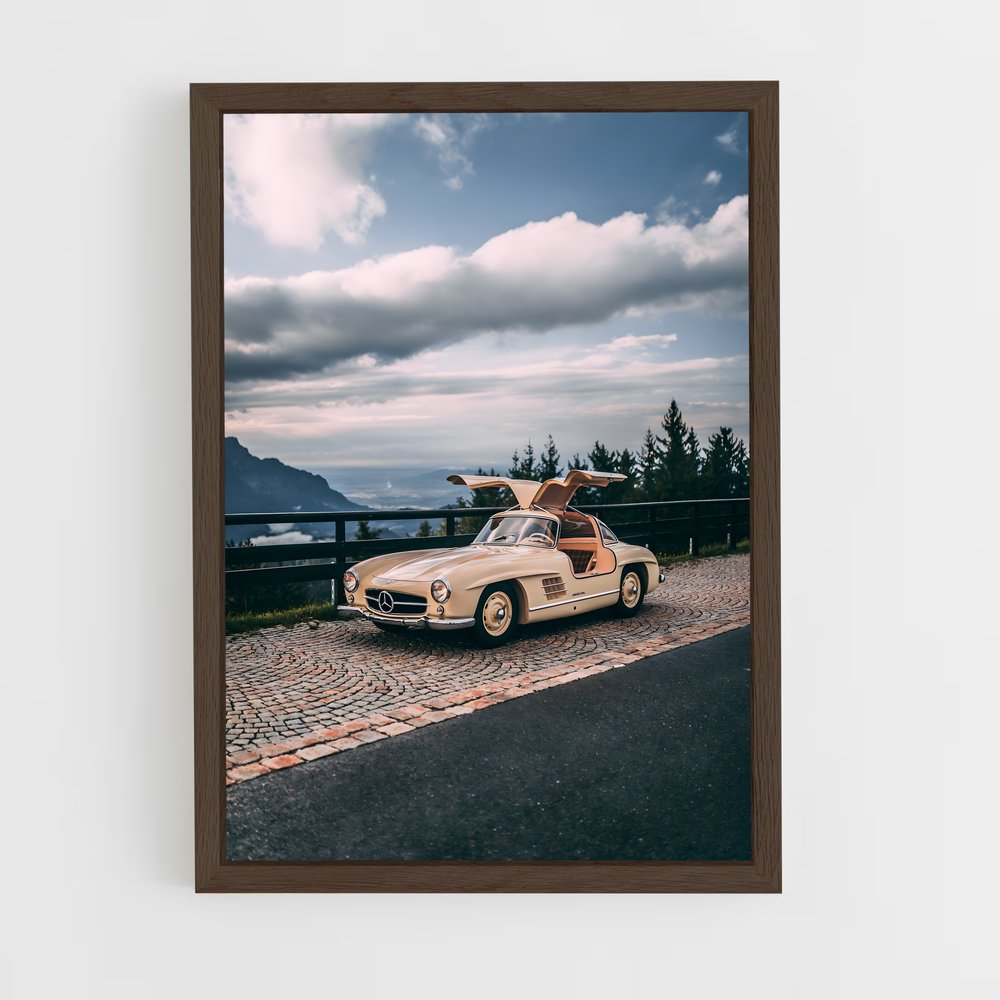 ap-300sl gullwing-3 cadre Bois foncé