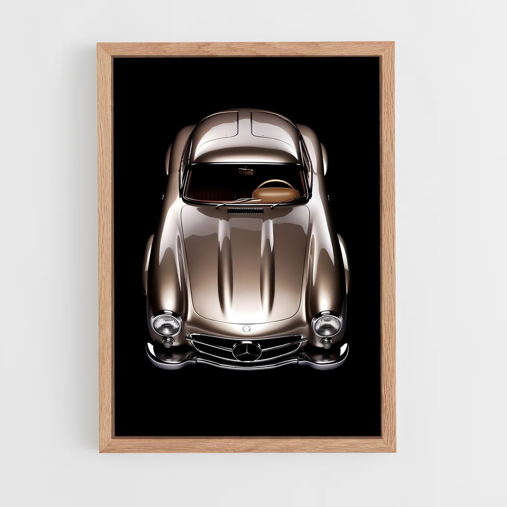 ap-300sl gullwing-4 cadre Bois clair