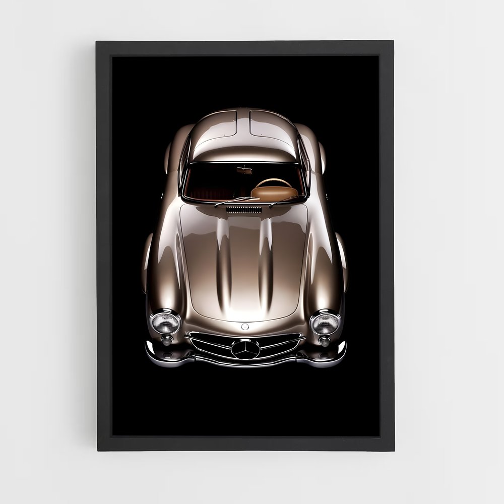 ap-300sl gullwing-4 cadre Noir