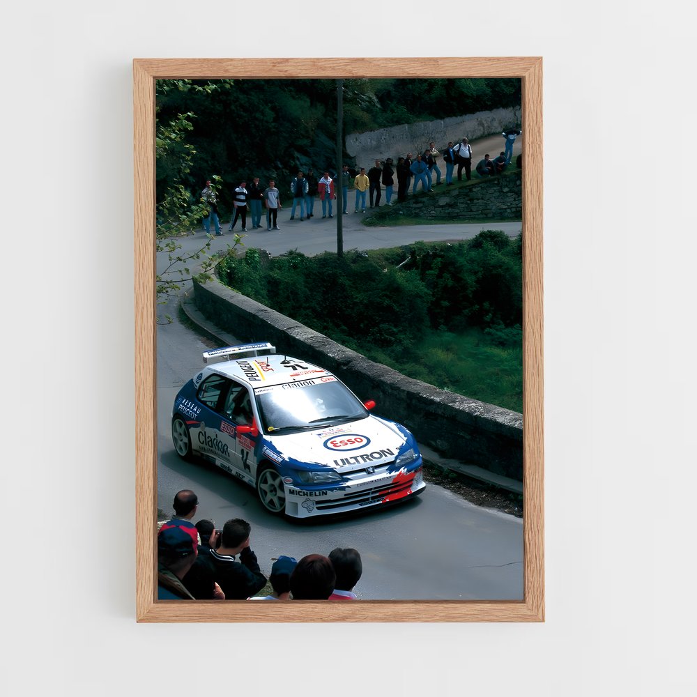 ap-306 rallye-1 cadre Bois clair