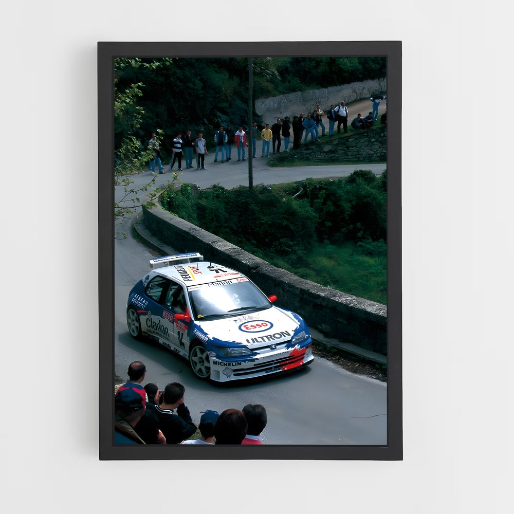 ap-306 rallye-1 cadre Noir