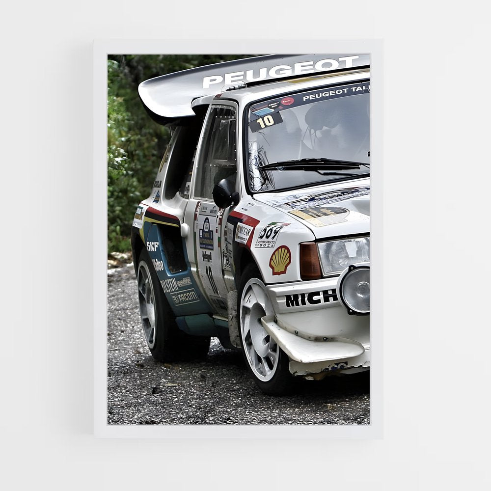ap-306 rallye-2 cadre Blanc
